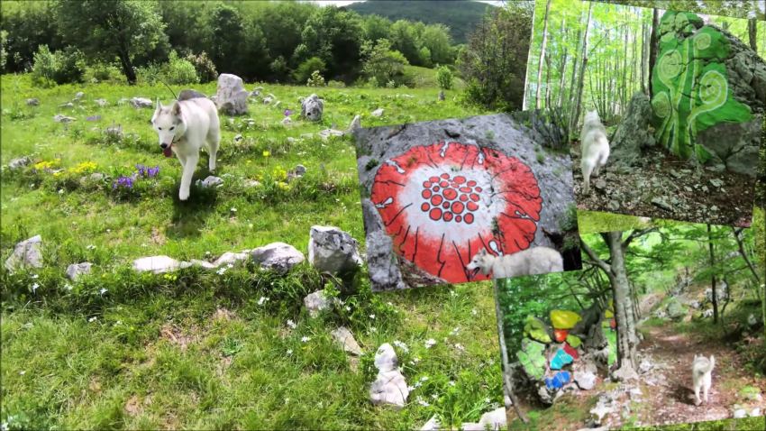 Land art stazom na Učki vas vodi haskica Mishka, land art - Mishka